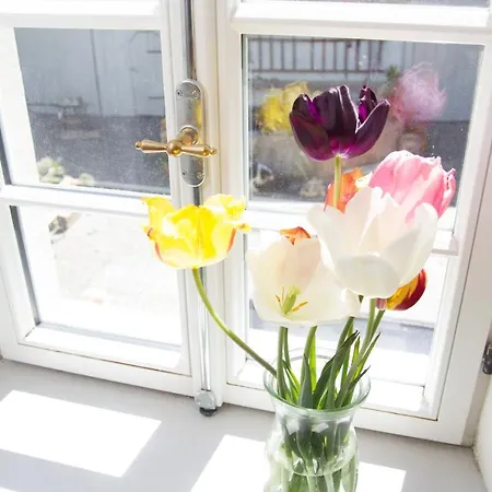 Gästezimmer Mittelgasse Apartment *