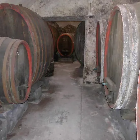 Apartment Gästezimmer Mittelgasse