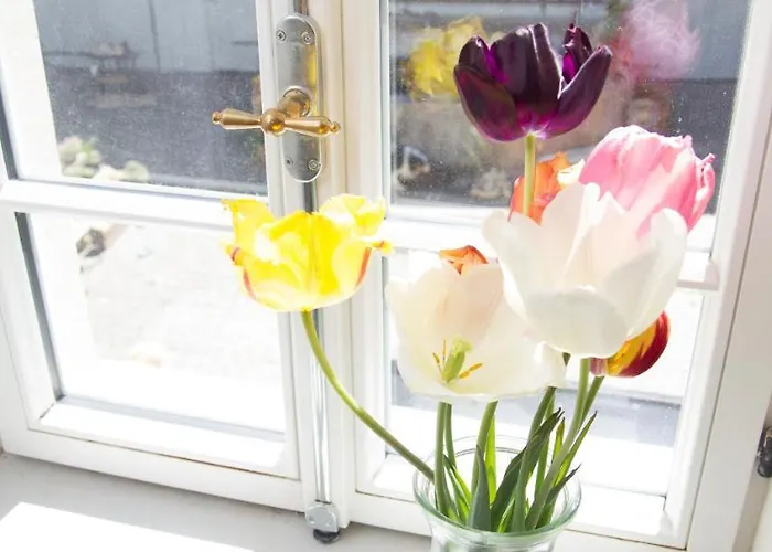 Gaestezimmer Mittelgasse Lägenhet *